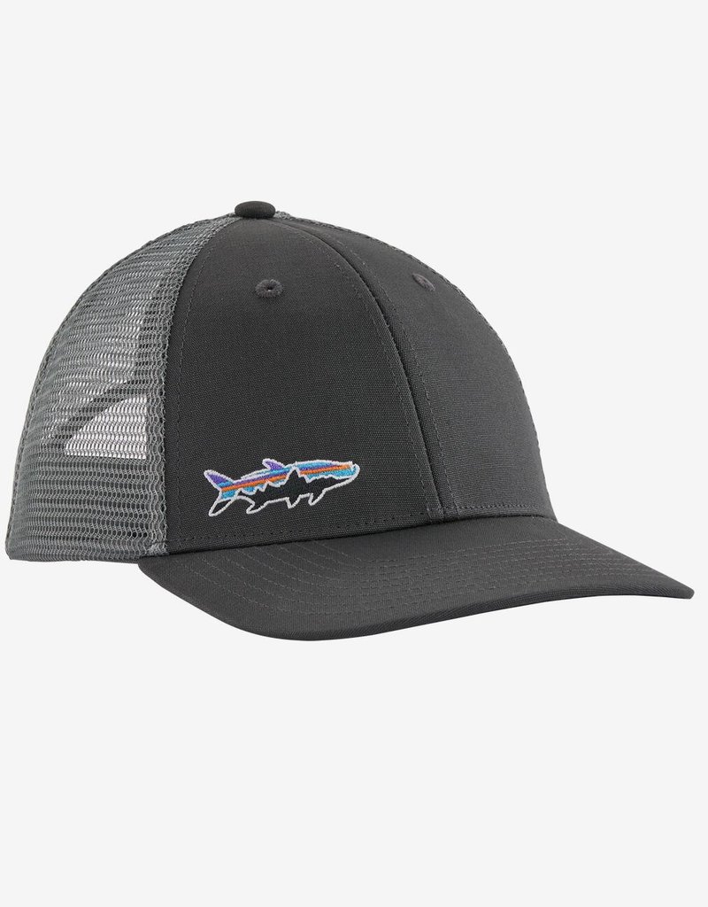 patagonia fitz roy trucker hat