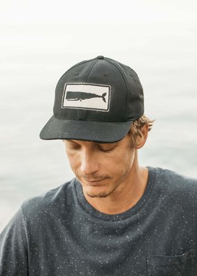 Mollusk Surf Shop Whale Patch Hat