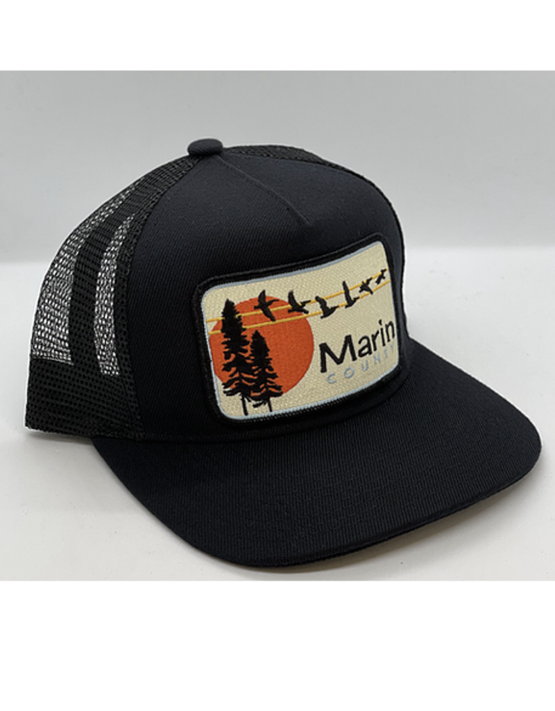 Venture Marin County Black Townie Trucker