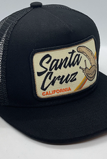 Venture Santa Cruz Slug Townie Trucker