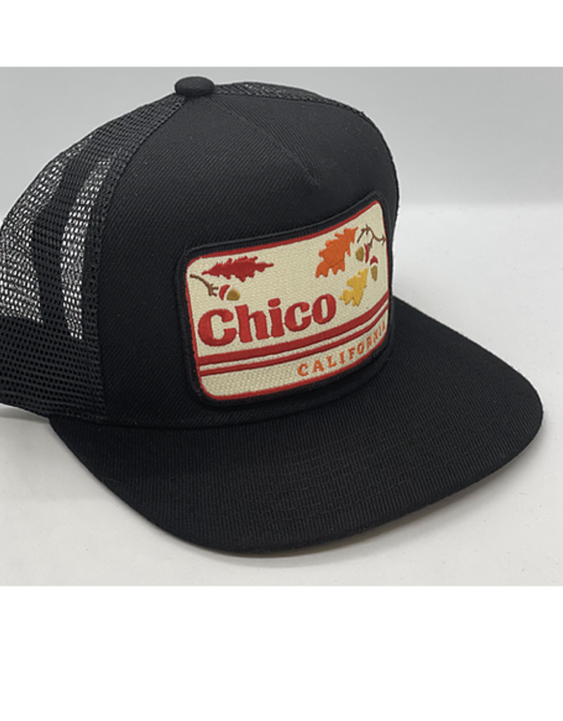 Venture Chico Black Townie Trucker