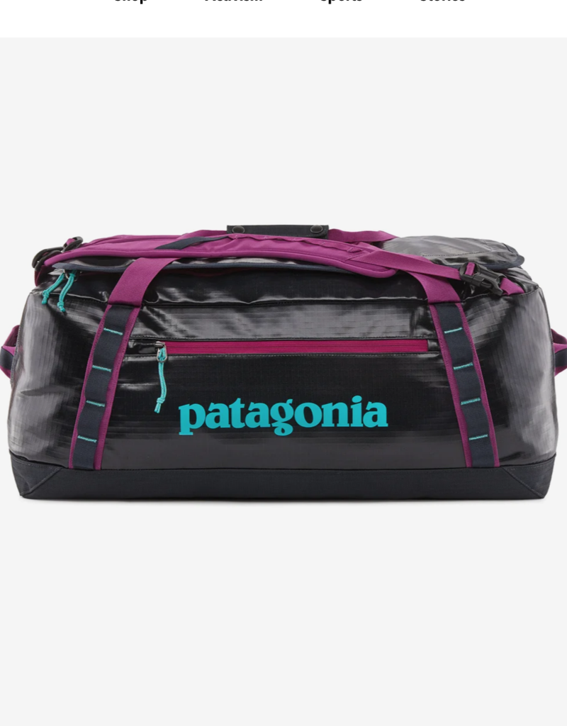 Patagonia Black Hole Duffel 55L (shiny)