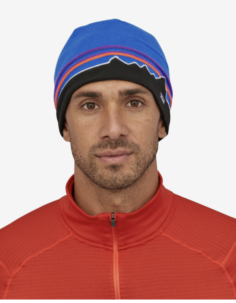 Patagonia Beanie Hat