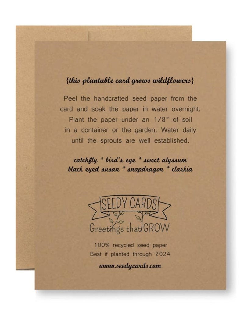 Seedy Happy Hour Is A Nap