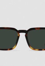 Raen Adin Kola Tortoise/Green Polarized