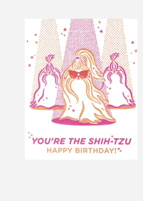 Good Paper You're the Shih Tzu