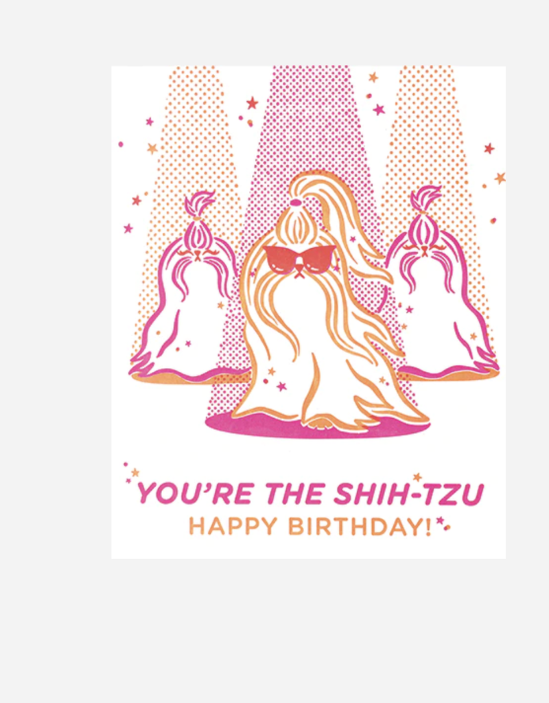 Good Paper You're the Shih Tzu