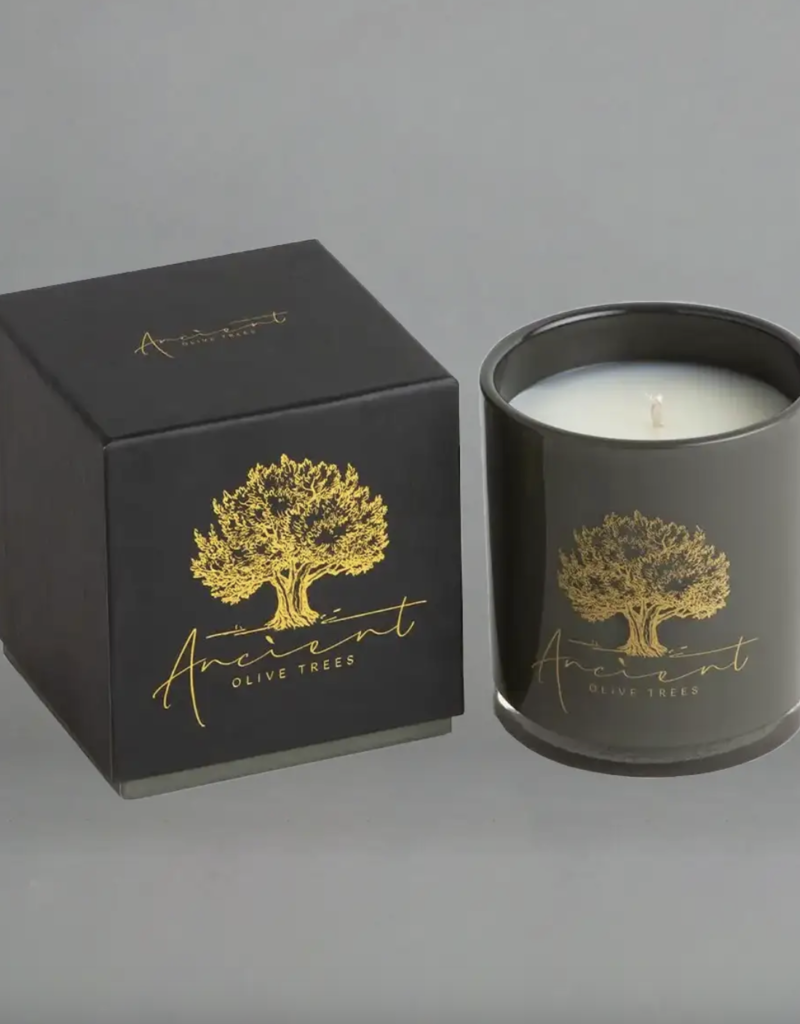 Ancient Olive Trees Ancient Olive Trees Candle