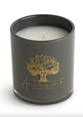 Ancient Olive Trees Ancient Olive Trees Candle