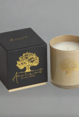 Ancient Olive Trees Ancient Olive Trees Candle