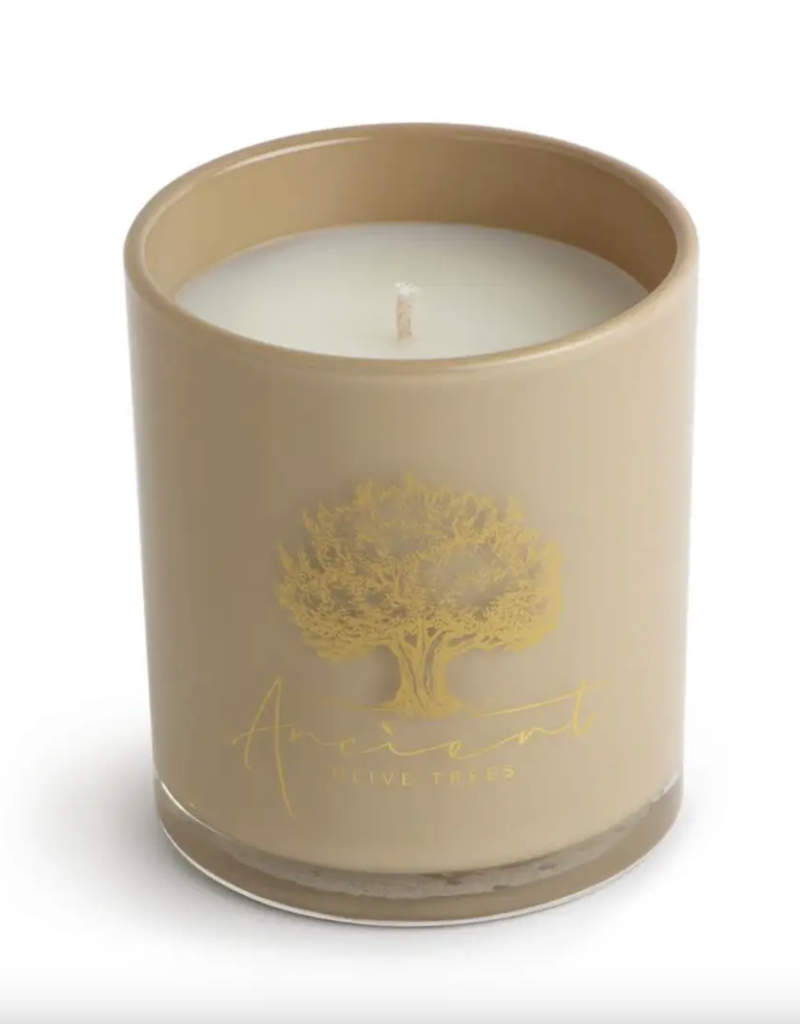 Ancient Olive Trees Ancient Olive Trees Candle