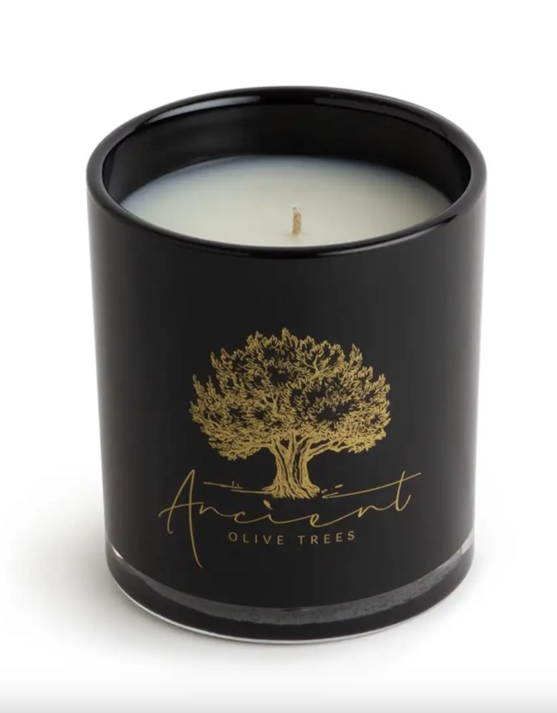 Ancient Olive Trees Ancient Olive Trees Candle