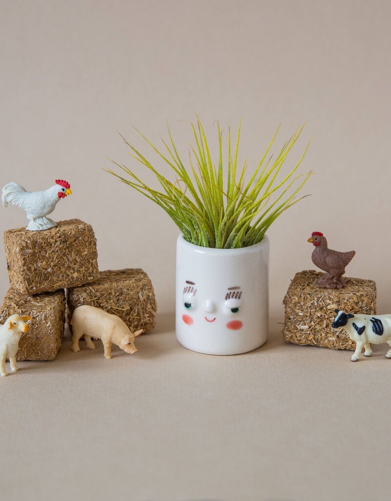 Friend Assembly Friendly Planter Gerry