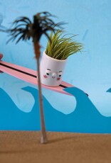 Friend Assembly Friendly Planter Timmy