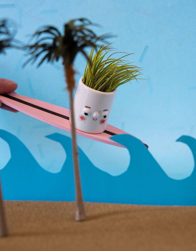 Friend Assembly Friendly Planter Timmy