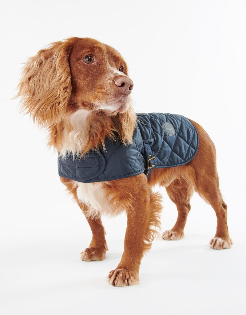 Barbour dog coat sale