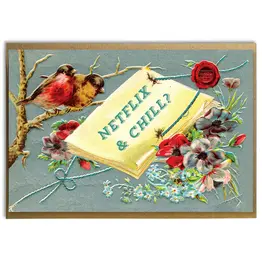 A Zillion Dollars Netflix & Chill?