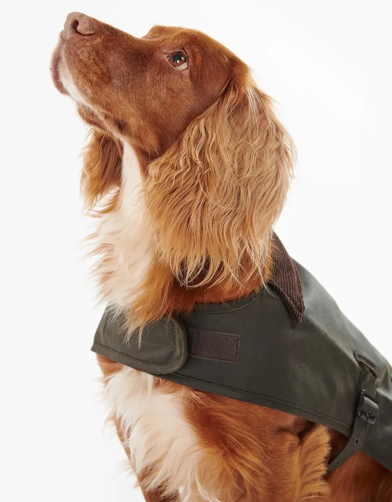 Barbour Wax Dog Coat