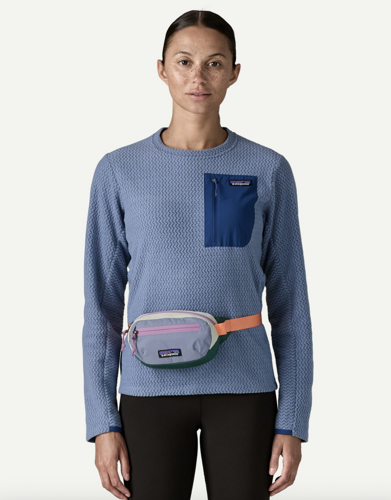 Patagonia Terravia Mini Hip Pack