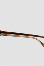 Raen Remmy Cirus/Vibrant Brown Polarized