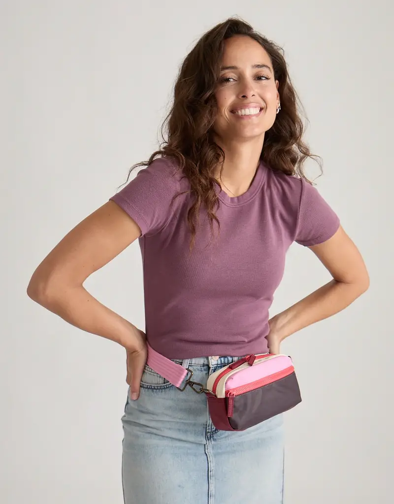 Marine Layer Colorblock Fanny