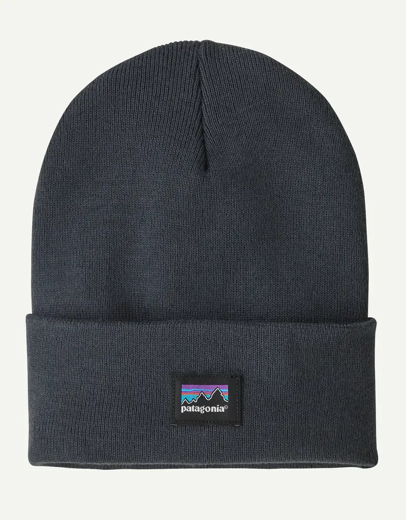 Patagonia Everyday Beanie