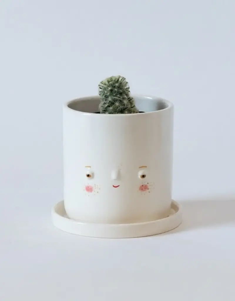 Friend Assembly Big Timmy Planter