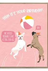 Modern Printed Matter Act Your Age Dogs Birthday Card