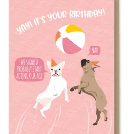 Modern Printed Matter Act Your Age Dogs Birthday Card