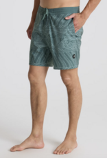 Roark Chiller Board Short