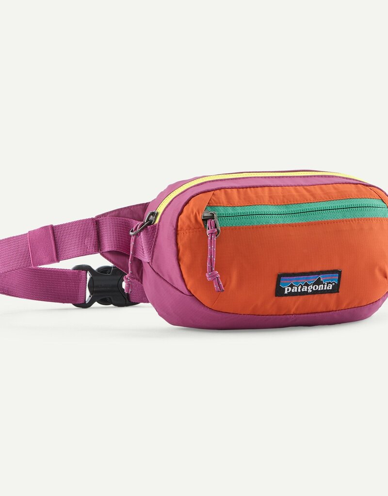 Patagonia Terravia Mini Hip Pack