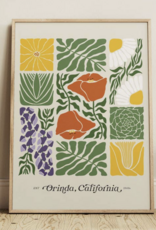 Sun To Sea California Native Plants Abstract Art 8x10