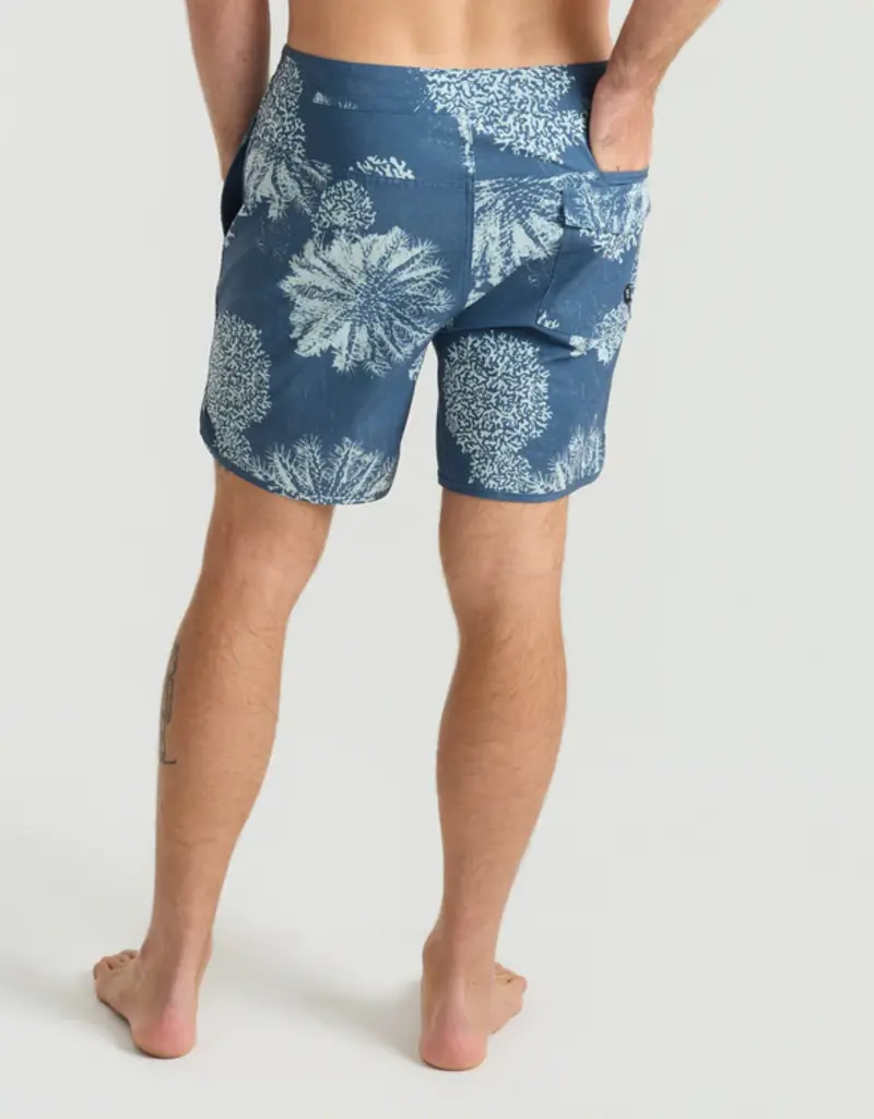 Roark Chiller Scallop Boardshorts