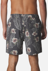 Katin Mallow Volley Short