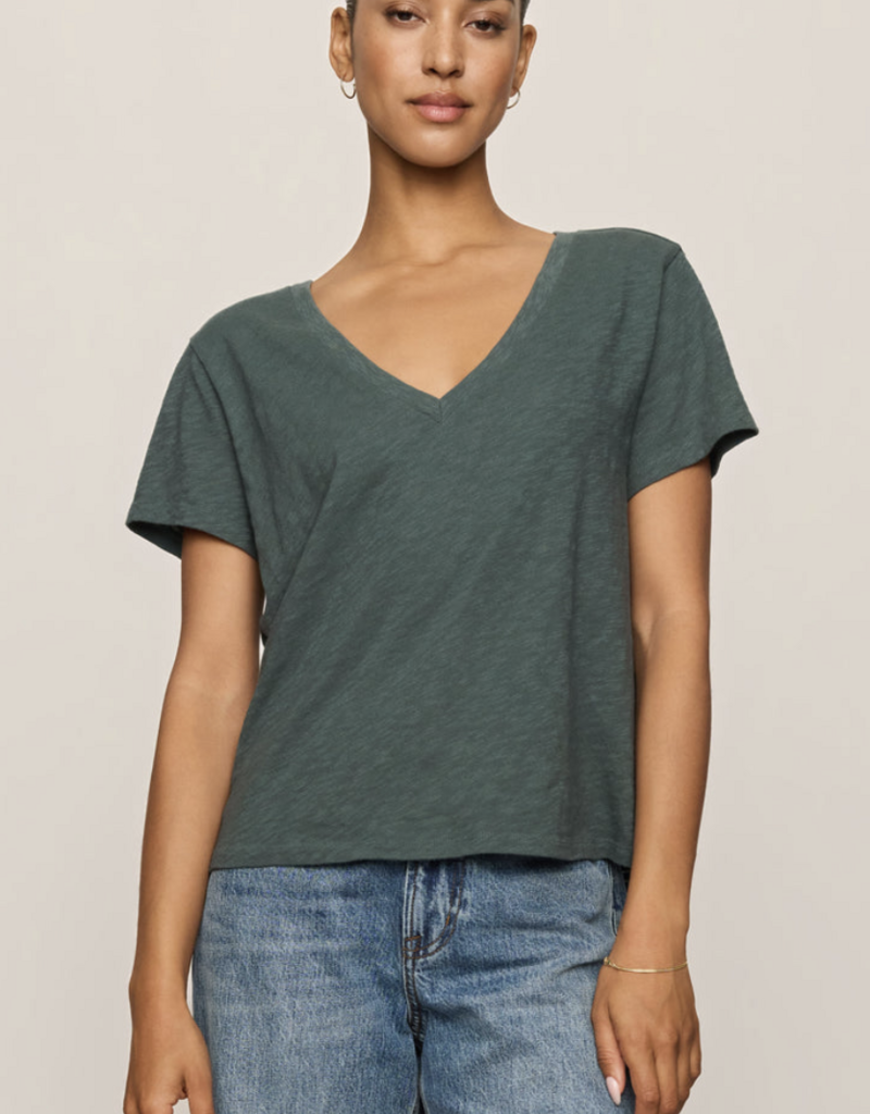 Z Supply Nomad V Neck Tee