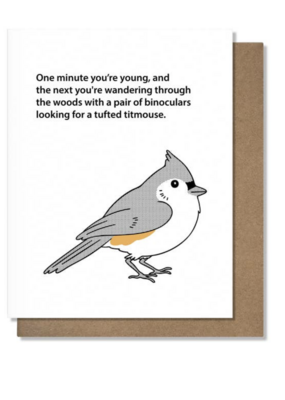 Bird Watching