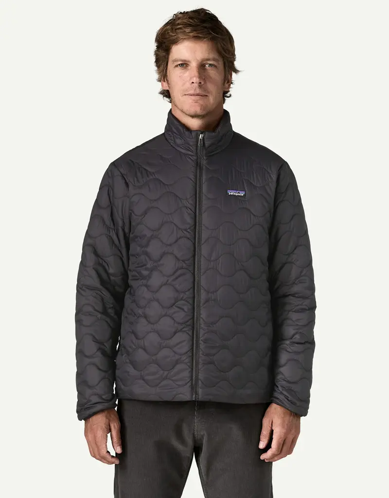 Patagonia M's Heyes Peak JKT