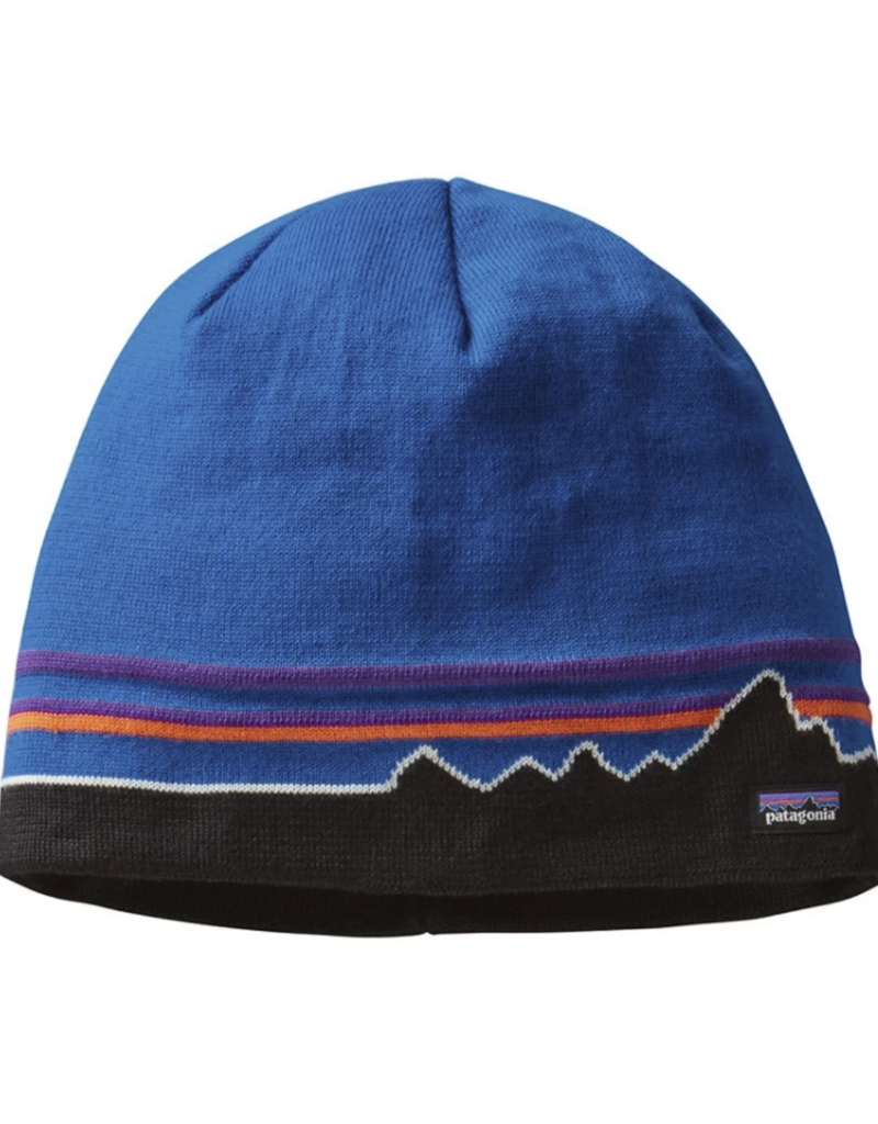 Patagonia Beanie Hat