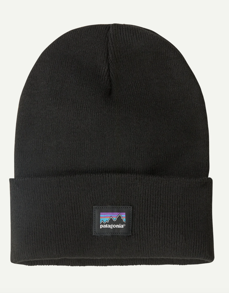 Patagonia Everyday Beanie
