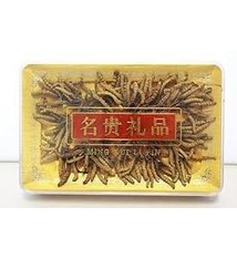 ASIAN BRANDS KF WHOLE CORDYCEPS 24 GM - Đông trùng hạ thảo nguyên con (Xuất sứ Tây Tạng)