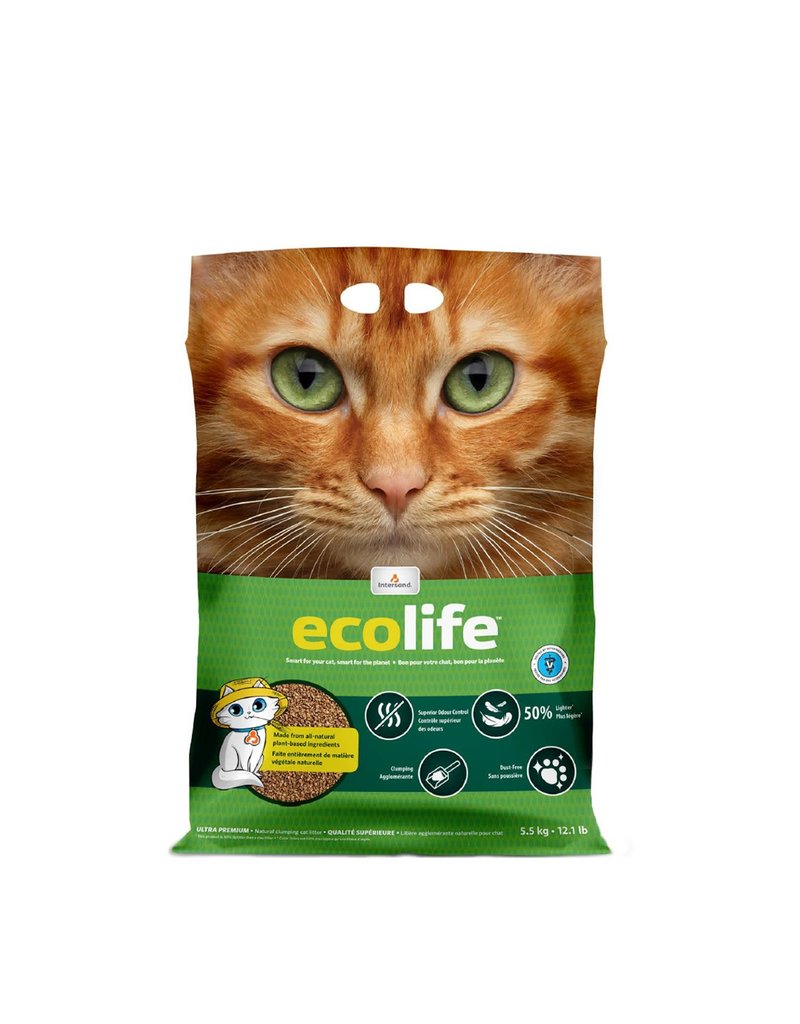 intersand cat litter