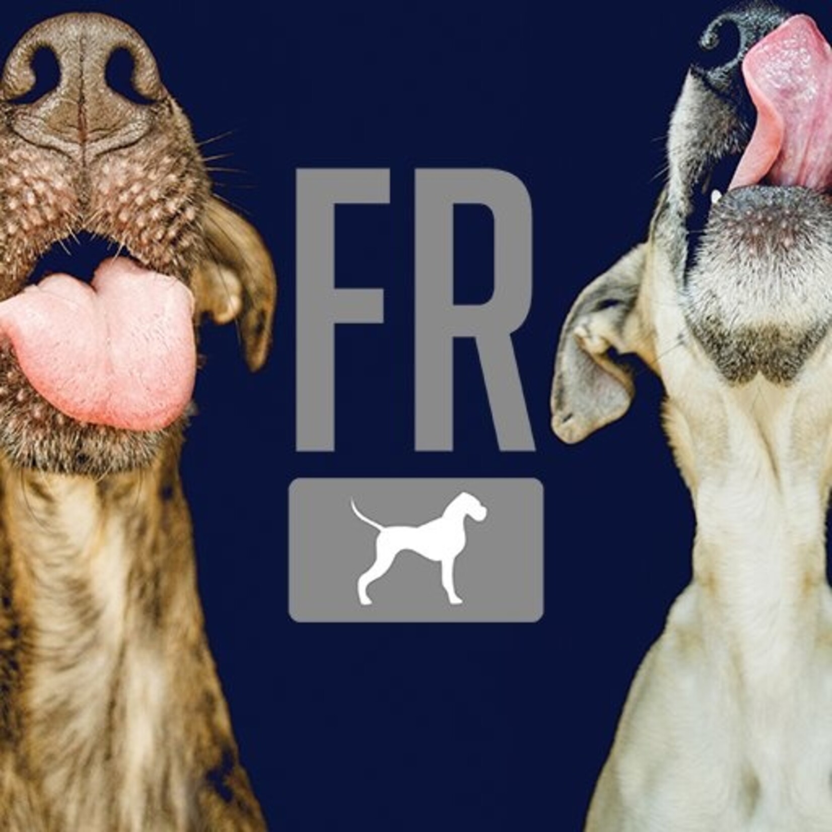 Formula Raw Formula Raw - 4” Beef Marrow Bone  - 2 pack