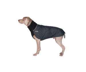 Chilly dogs great white north hot sale