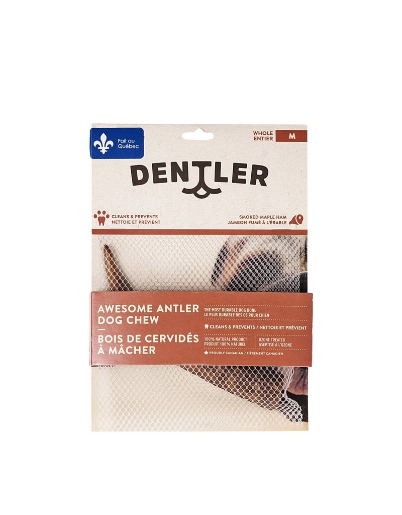 Dentler - Smoked Antler