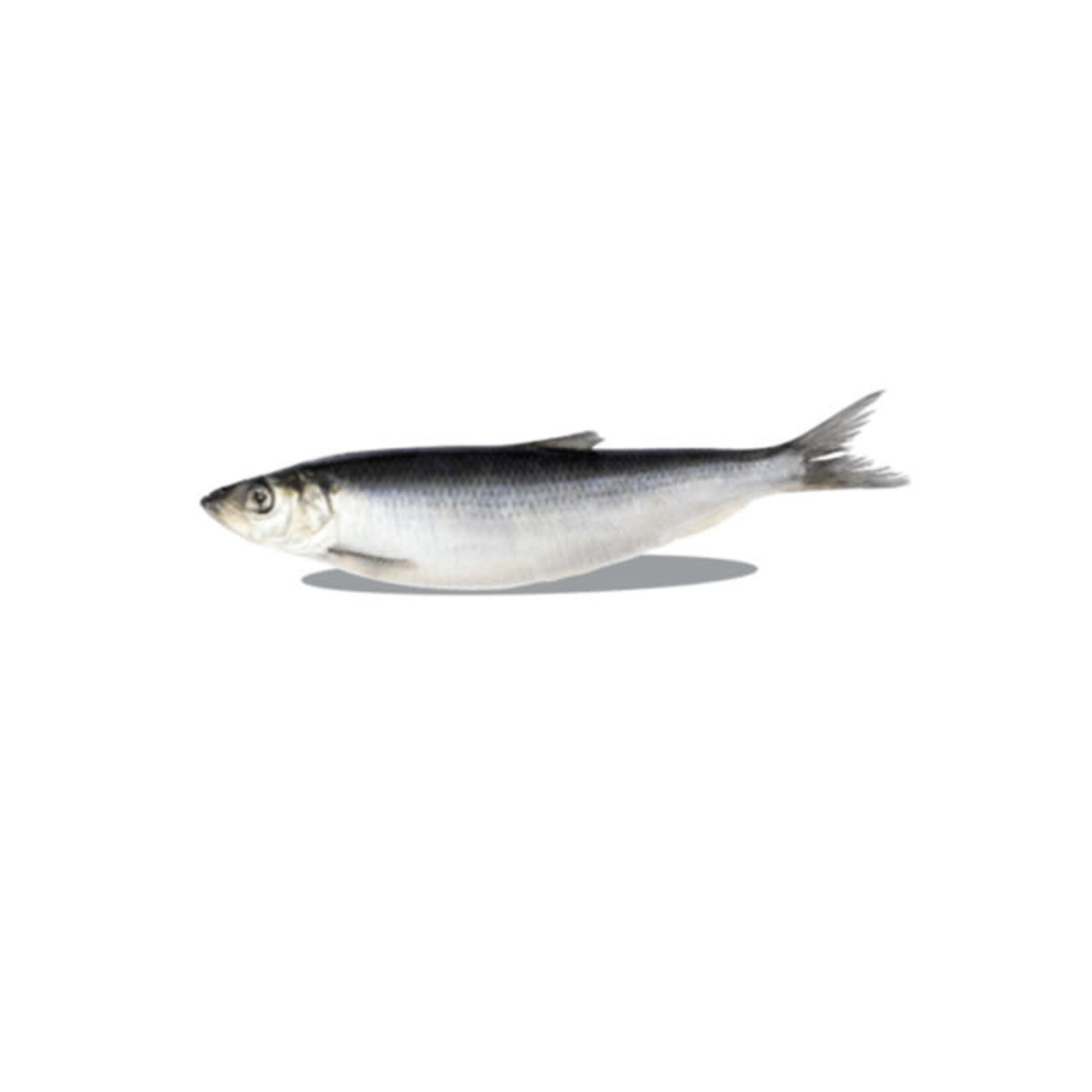Big Country Raw Big Country Raw -  Hareng - sac de 1 lb