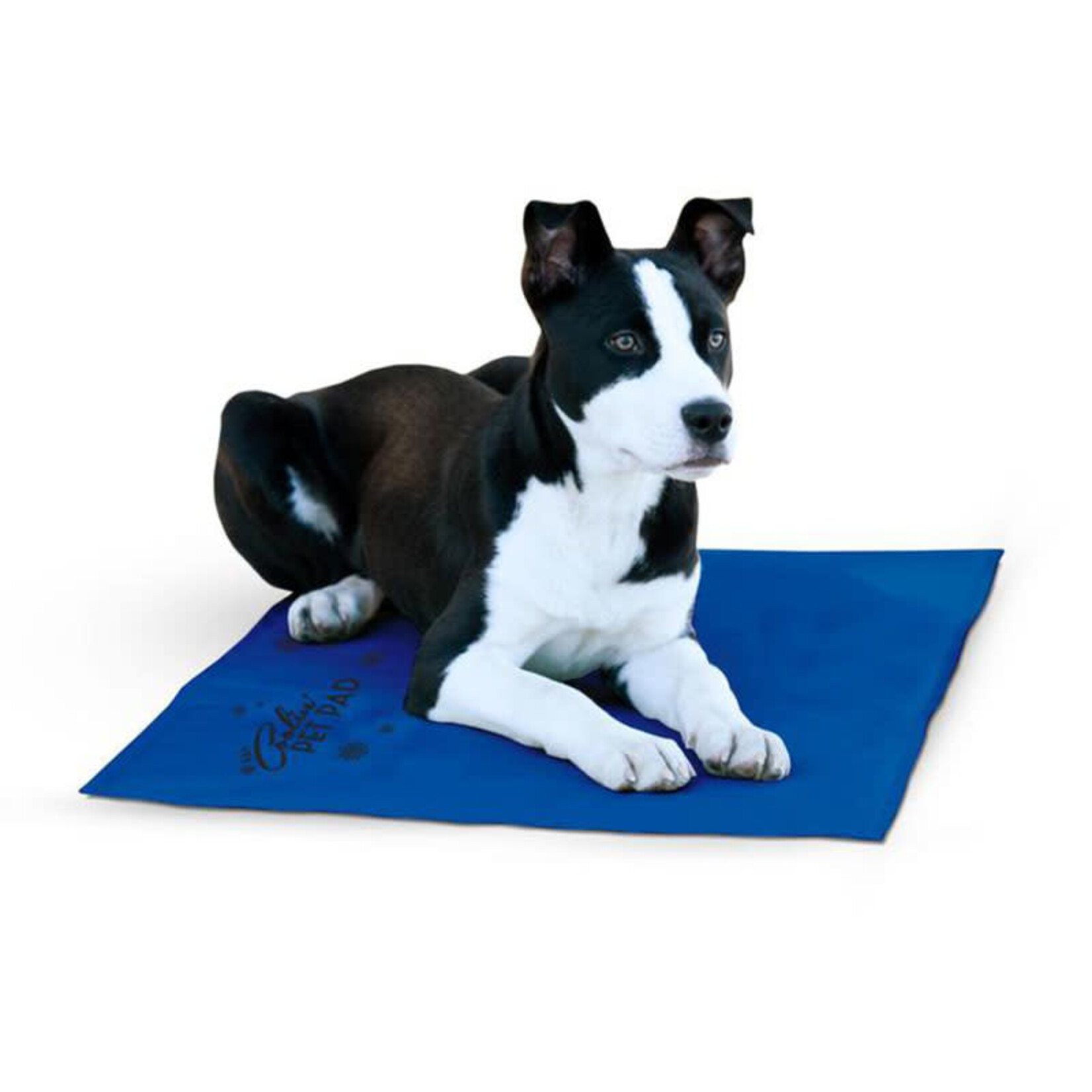 K&H - Cooling Pet Pad