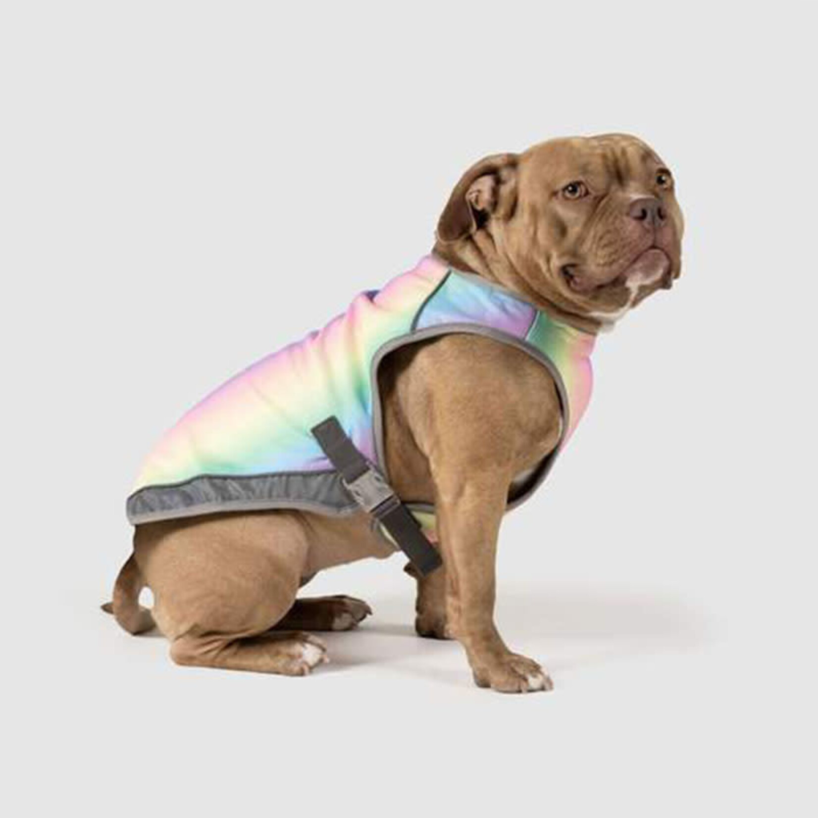 Canada Pooch - Chill Seeker - Cooling Vest - Rainbow