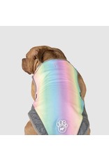 Canada Pooch - Chill Seeker - Cooling Vest - Rainbow