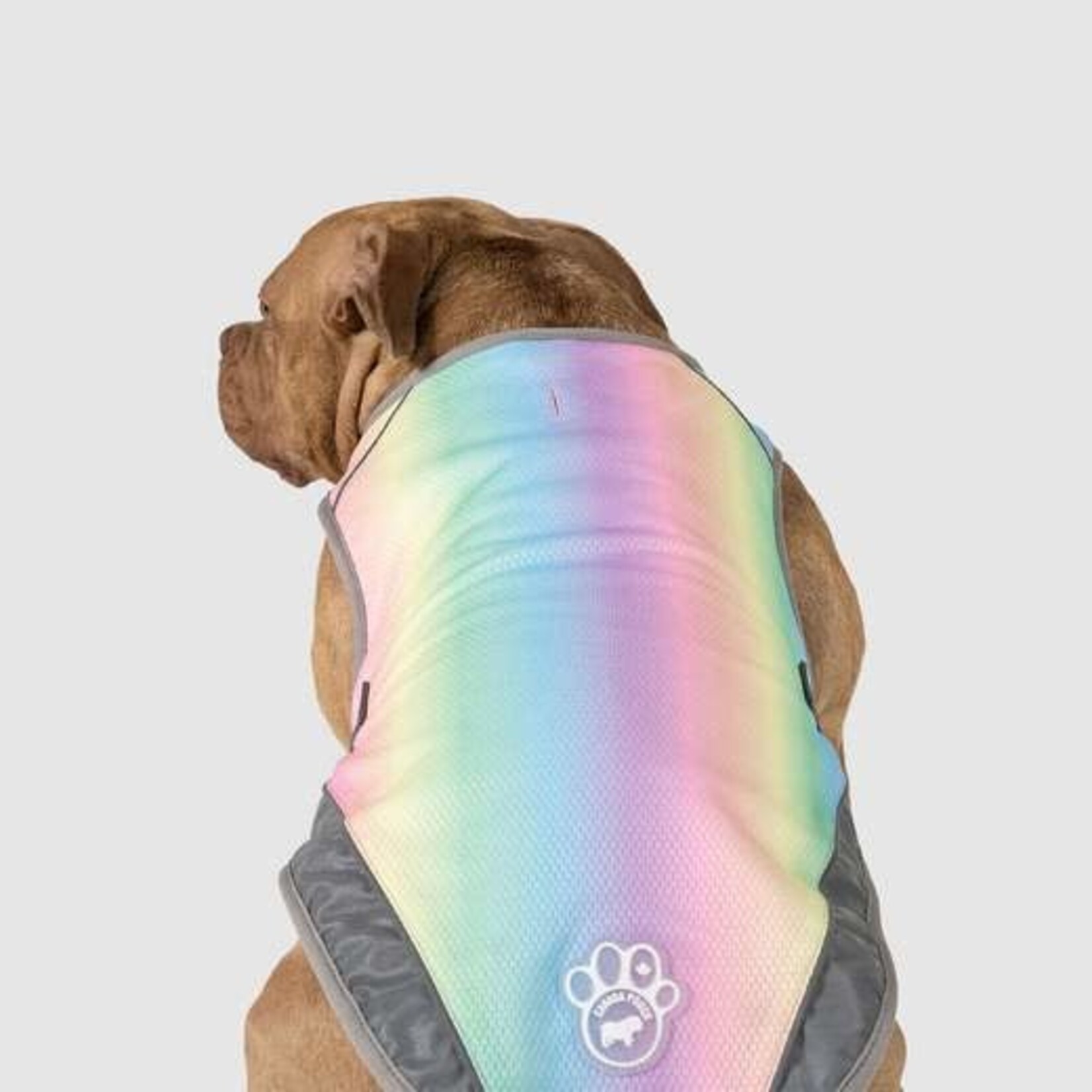 Canada Pooch - Chill Seeker - Cooling Vest - Rainbow