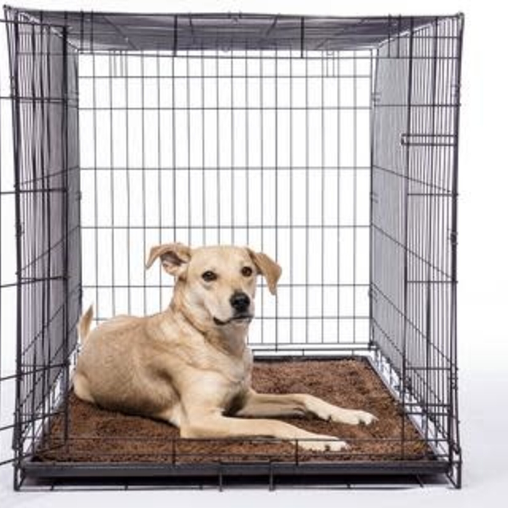 Dog Gone Smart - Dirty Dog Tapis d'entrée - Gris